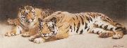 John Charles Dollman Two Wild Tigers Sweden oil painting artist
